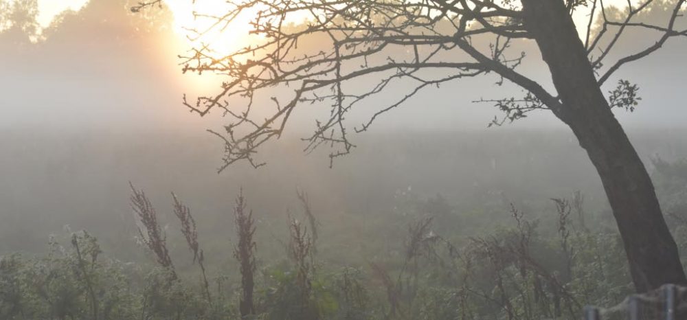 Jenny Stork: Photography 1: Context & Narrative